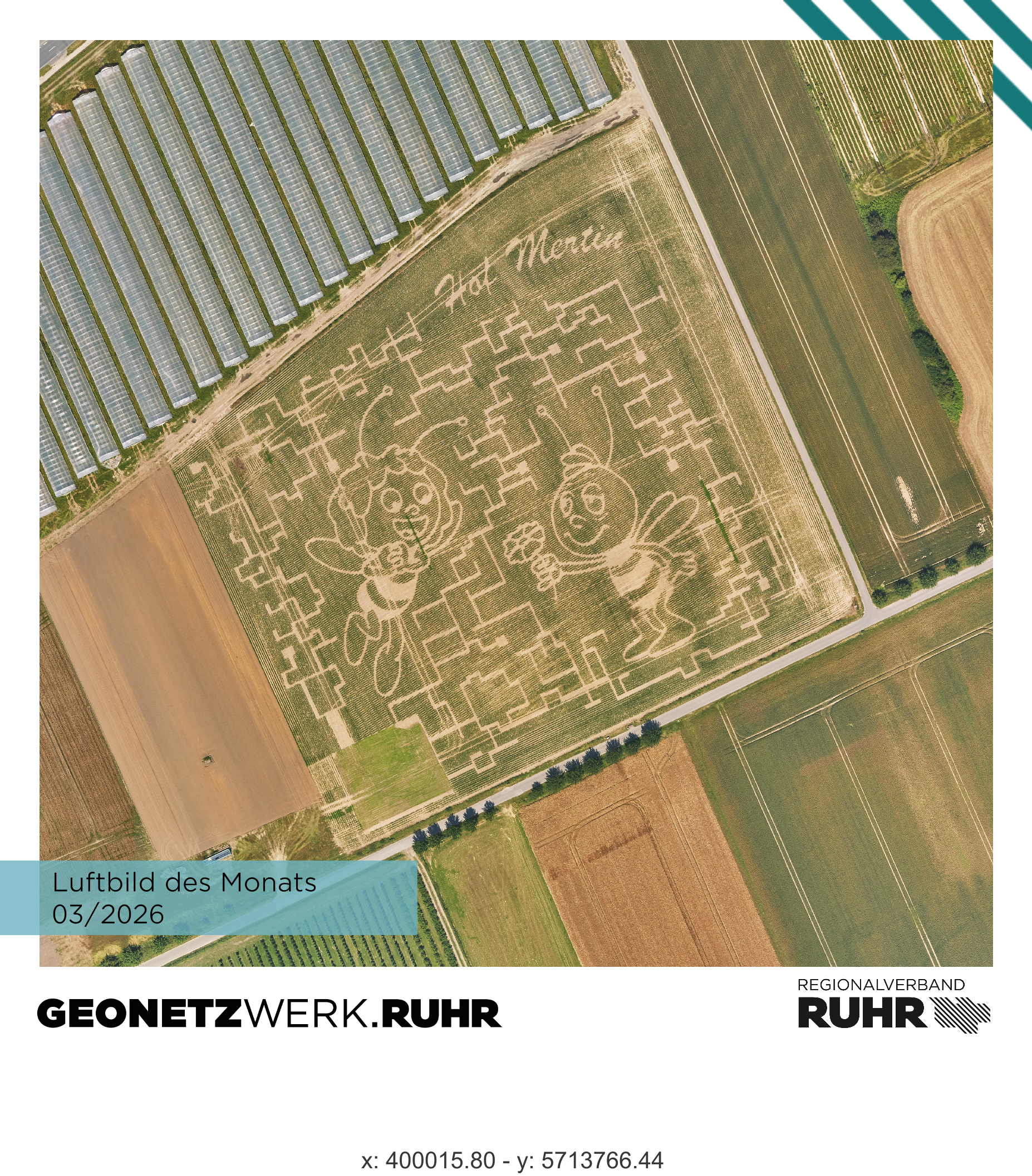 Maislabyrinth mit Biene Maja